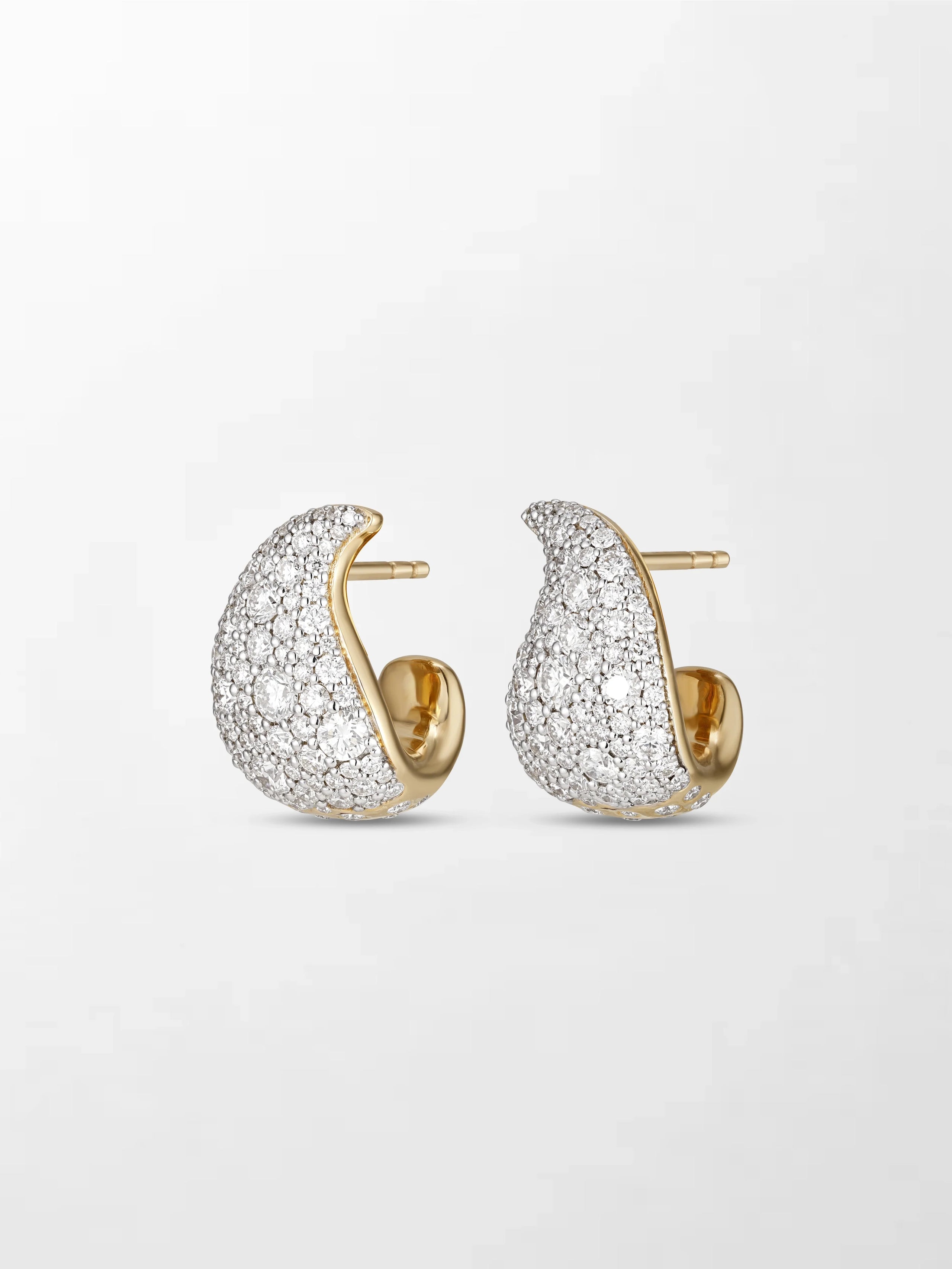 Split Flick Earrings