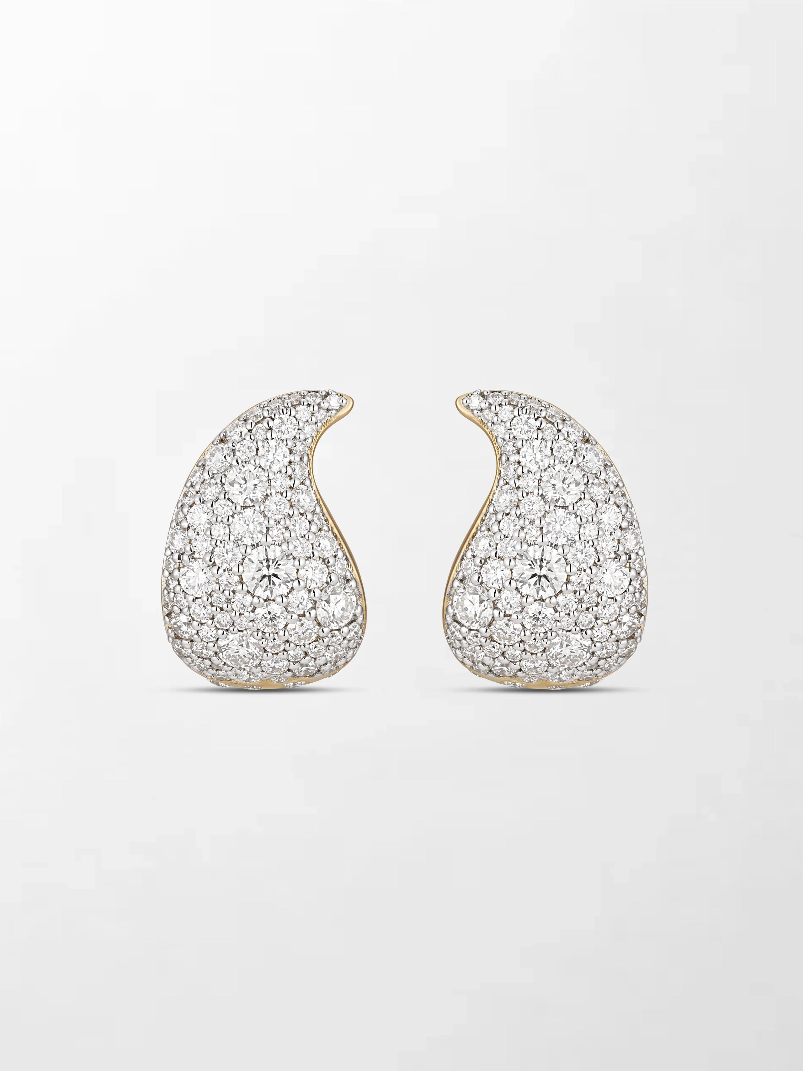Split Flick Earrings