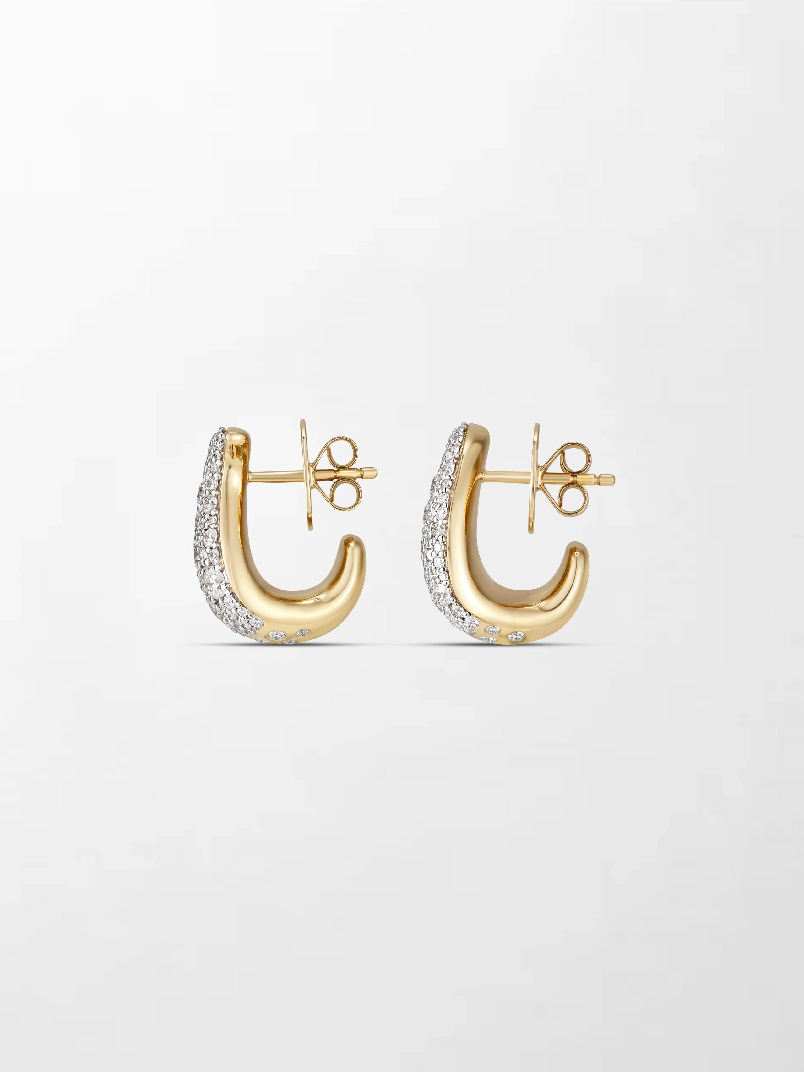 Split Flick Earrings