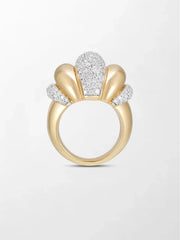 Pumpkin Ring